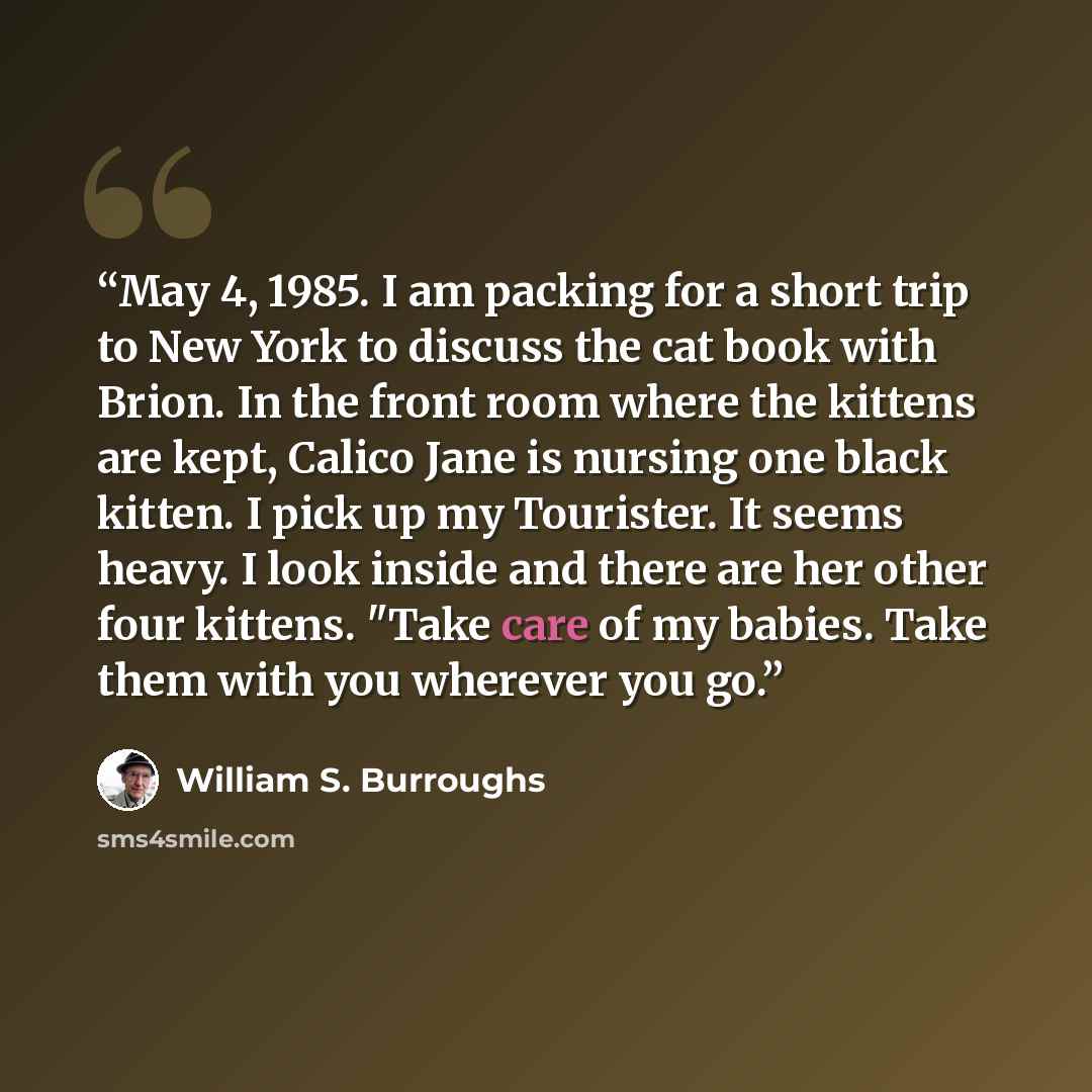 “May 4, 1985. I am packing for a short trip to New York to discuss the cat book with Brion. In the front room where the kittens are kept, Calico Jane is nursing one black kitten. I pick up my Tourister. It seems heavy. I look inside and there are her other four kittens. "Take care of my babies…” quote by William S. Burroughs