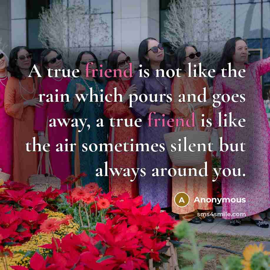 “A true friend is not like the rain which pours and goes away, a true friend is like the air sometimes silent but always around you.” quote by Anonymous