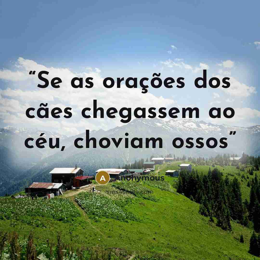 “Se as orações dos cães chegassem ao céu, choviam ossos” quote by Anonymous