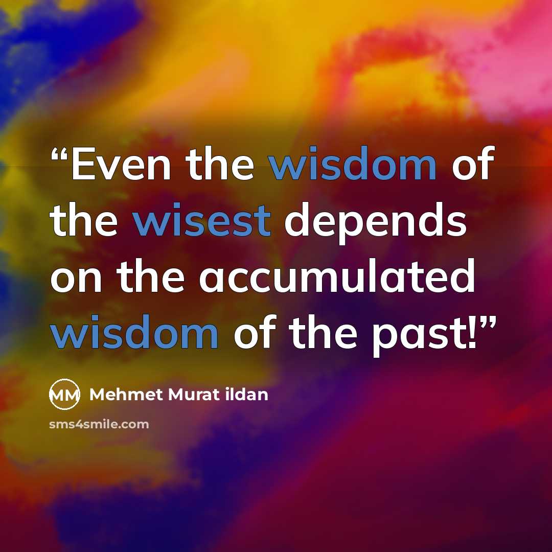 “Even the wisdom of the wisest depends on the accumulated wisdom of the past!” quote by Mehmet Murat ildan