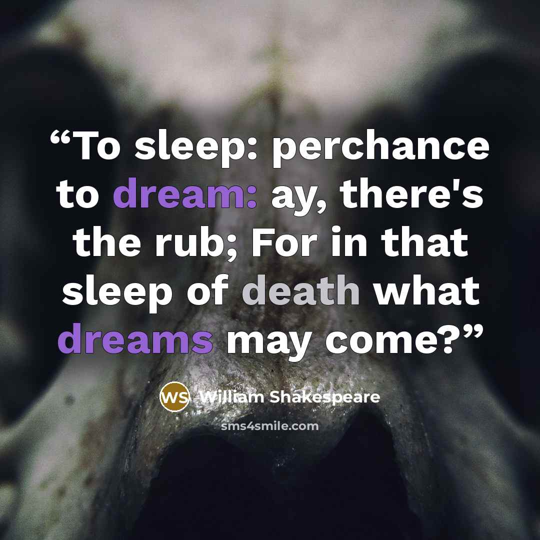 “To sleep: perchance to dream: ay, there's the rub; For in that sleep of death what dreams may come?” quote by William Shakespeare