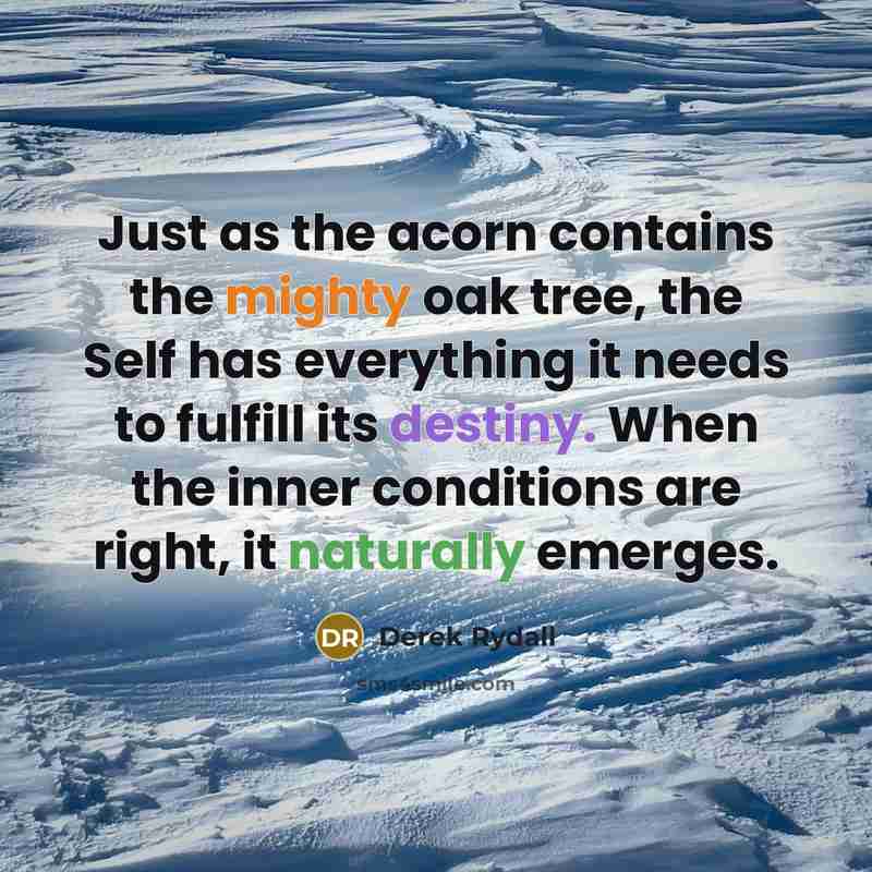 “Just as the acorn contains the mighty oak tree, the Self has everything it needs to fulfill its destiny. When the inner conditions are right, it naturally emerges.” quote by Derek Rydall