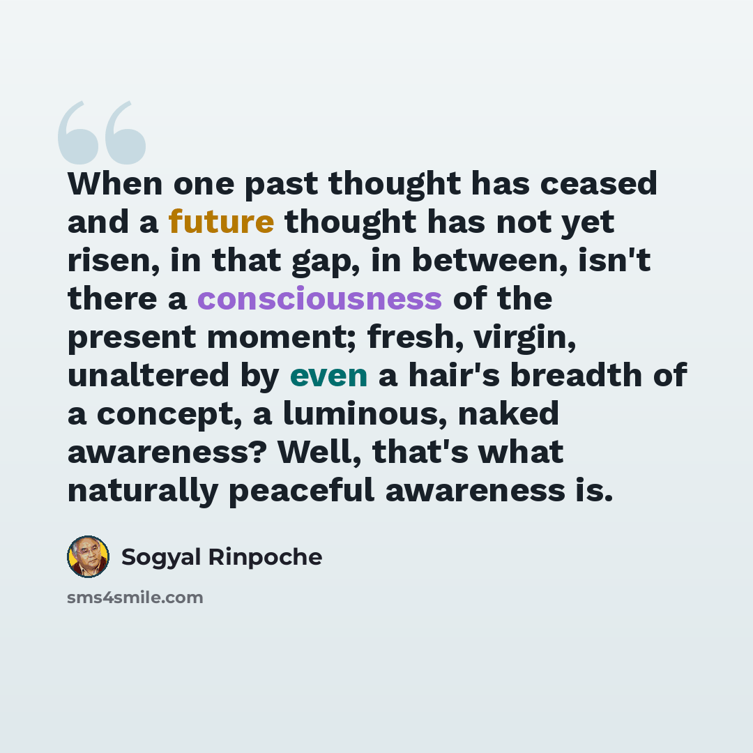 “When one past thought has ceased and a future thought has not yet risen, in that gap, in between, isn't there a consciousness of the present moment; fresh, virgin, unaltered by even a hair's breadth of a concept, a luminous, naked awareness? Well, that's what naturally peaceful awareness is.” quote by Sogyal Rinpoche
