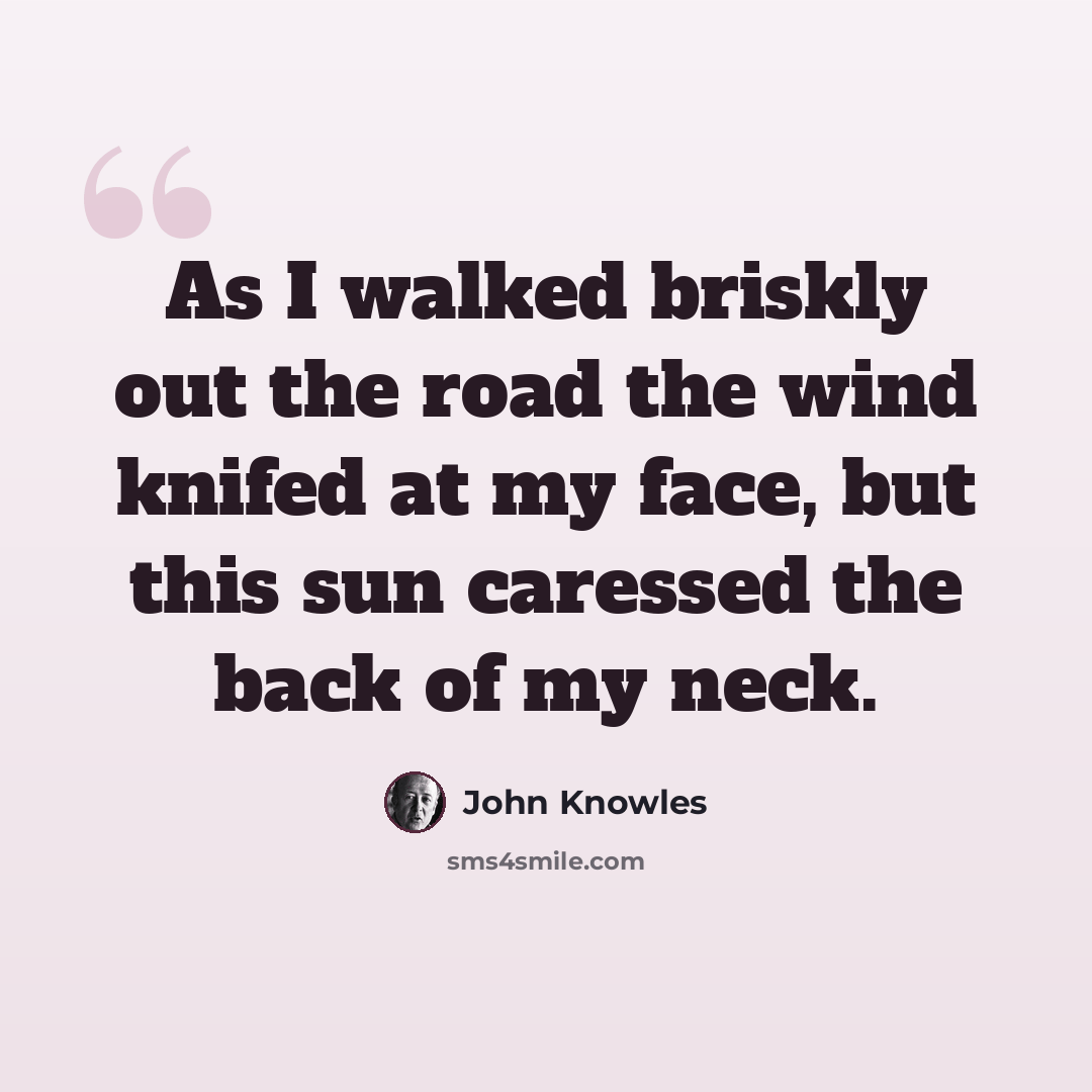 “As I walked briskly out the road the wind knifed at my face, but this sun caressed the back of my neck.” quote by John Knowles