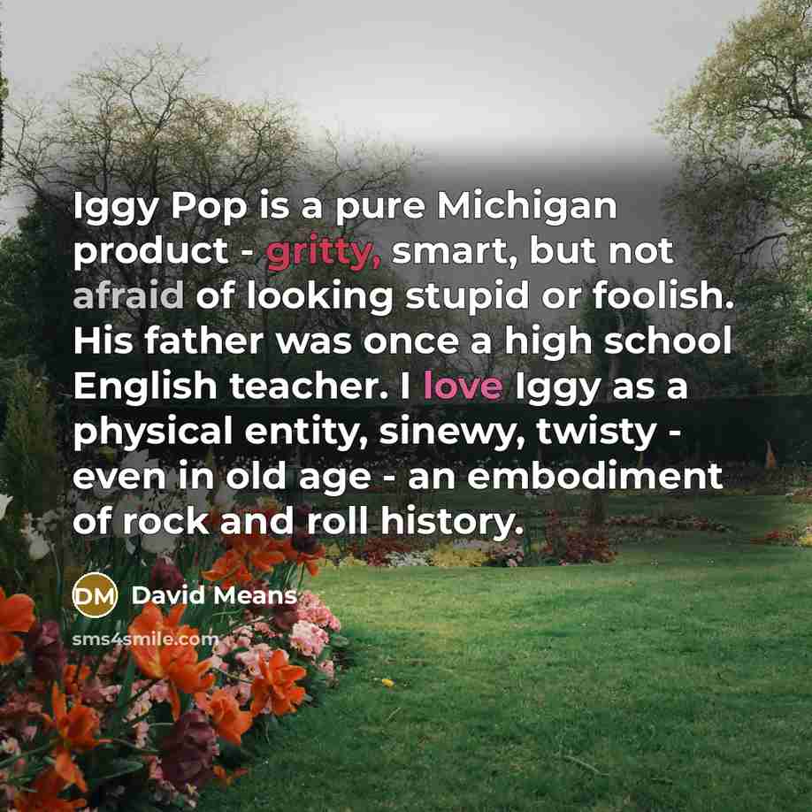 “Iggy Pop is a pure Michigan product - gritty, smart, but not afraid of looking stupid or foolish. His father was once a high school English teacher. I love Iggy as a physical entity, sinewy, twisty - even in old age - an embodiment of rock and roll history.” quote by David Means