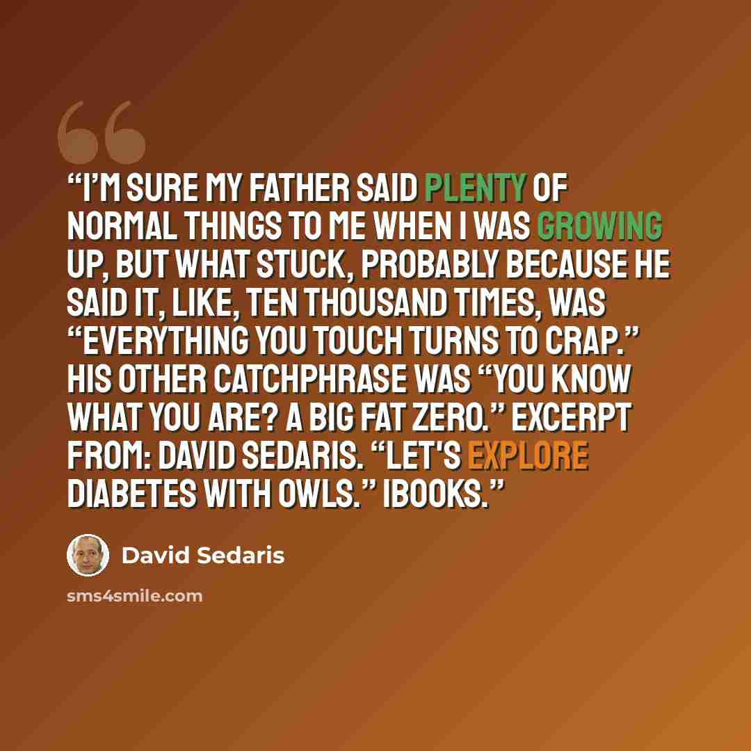 “I’m sure my father said plenty of normal things to me when I was growing up, but what stuck, probably because he said it, like, ten thousand times, was “Everything you touch turns to crap.” His other catchphrase was “You know what you are? A big fat zero.” Excerpt From: David Sedaris. “Let's…” quote by David Sedaris