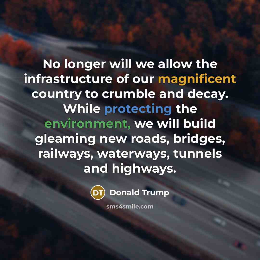 “No longer will we allow the infrastructure of our magnificent country to crumble and decay. While protecting the environment, we will build gleaming new roads, bridges, railways, waterways, tunnels and highways.” quote by Donald Trump