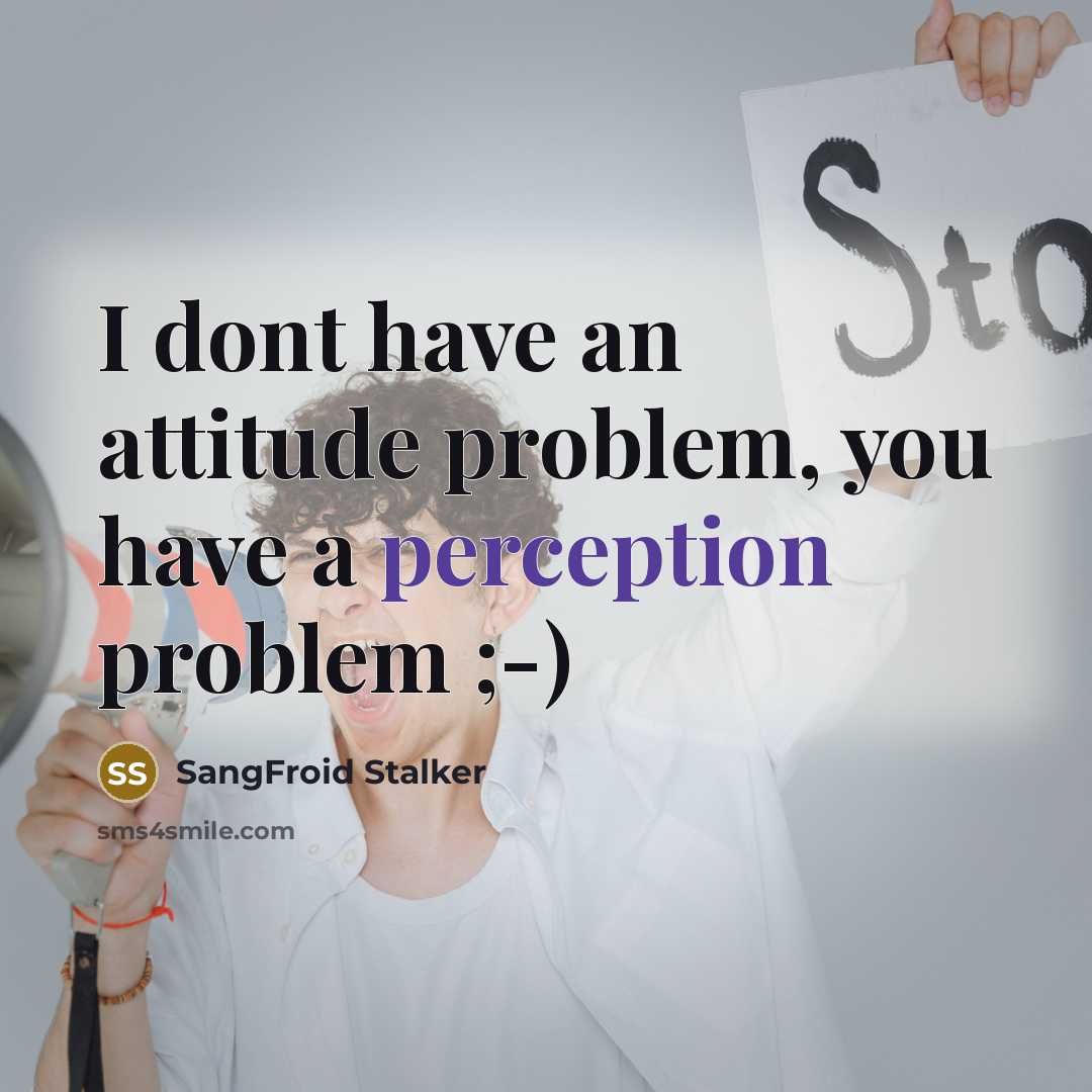 “I dont have an attitude problem, you have a perception problem ;-)” quote by SangFroid Stalker