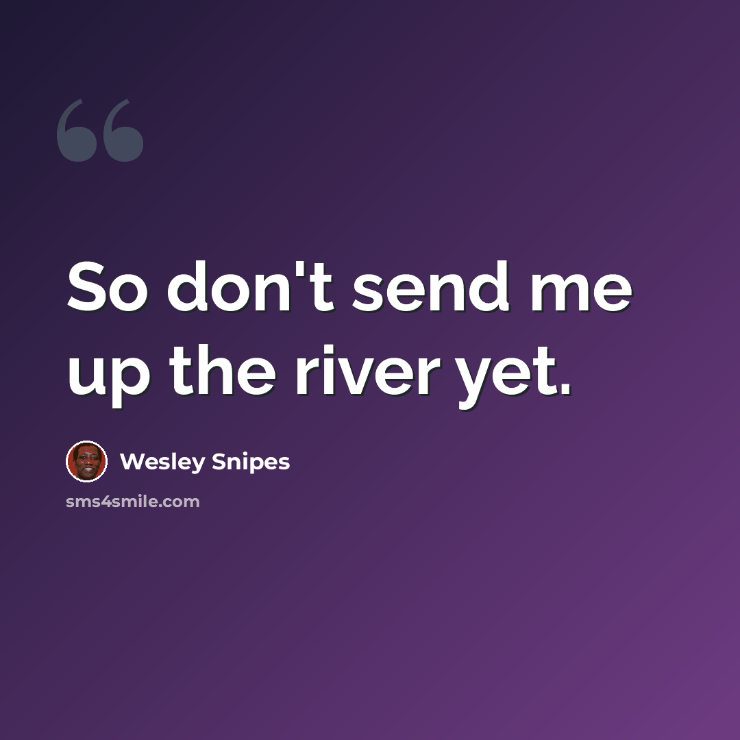 “So don't send me up the river yet.” quote by Wesley Snipes