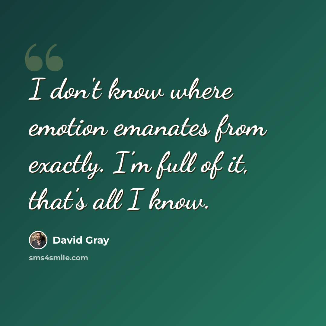 “I don't know where emotion emanates from exactly. I'm full of it, that's all I know.” quote by David Gray