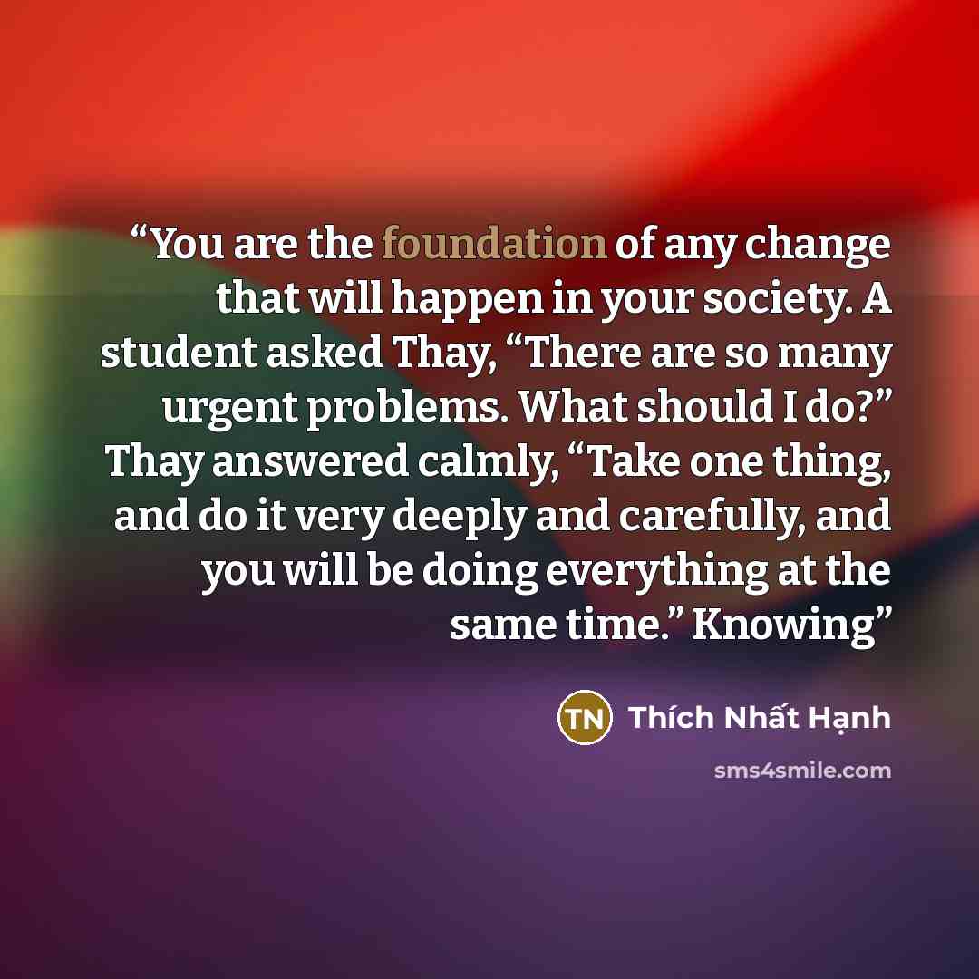 “You are the foundation of any change that will happen in your society. A student asked Thay, “There are so many urgent problems. What should I do?” Thay answered calmly, “Take one thing, and do it very deeply and carefully, and you will be doing everything at the same time.” Knowing” quote by Thich Nhat Hanh