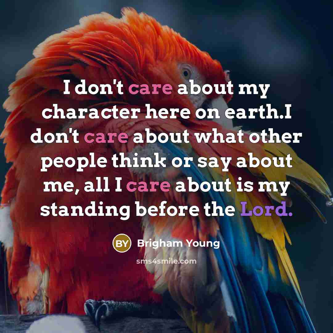 “I don't care about my character here on earth.I don't care about what other people think or say about me, all I care about is my standing before the Lord.” quote by Brigham Young