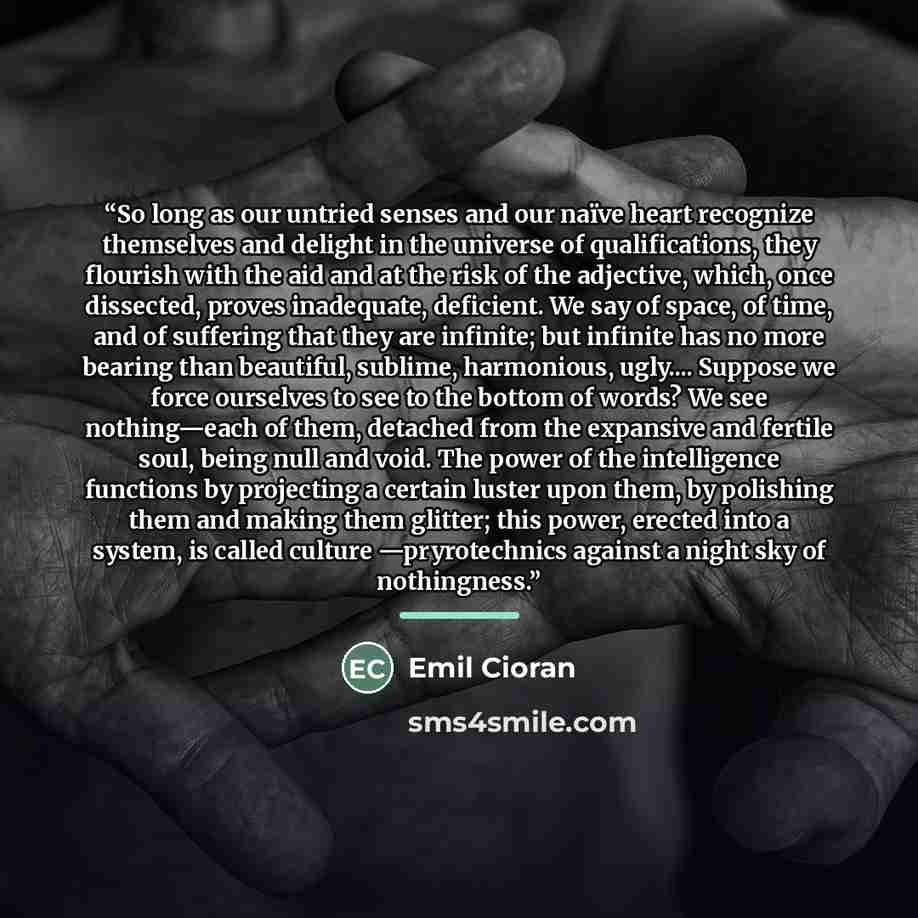 “So long as our untried senses and our naïve heart recognize themselves and delight in the universe of qualifications, they flourish with the aid and at the risk of the adjective, which, once dissected, proves inadequate, deficient. We say of space, of time, and of suffering that they are infinite…” quote by Emil Cioran