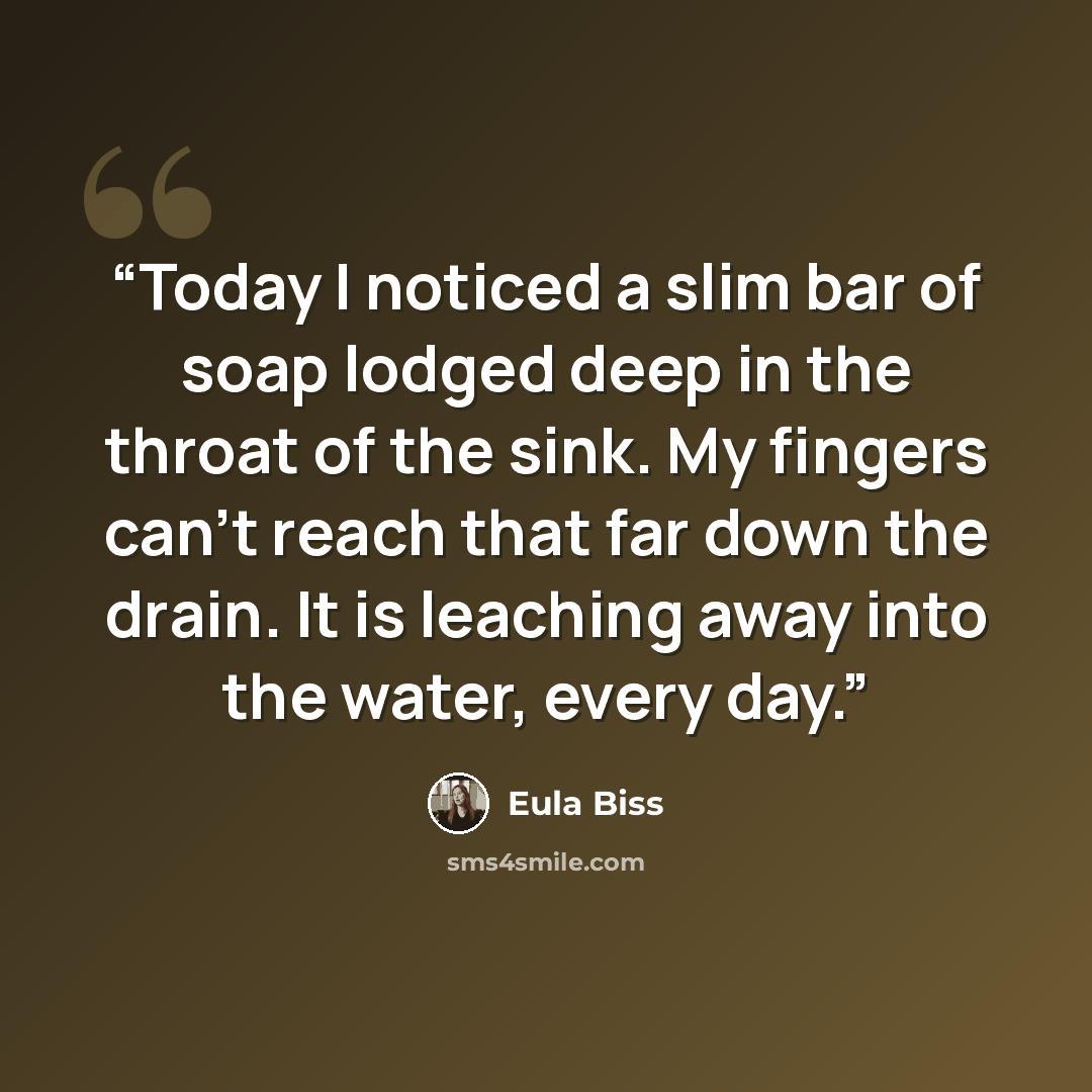 “Today I noticed a slim bar of soap lodged deep in the throat of the sink. My fingers can’t reach that far down the drain. It is leaching away into the water, every day.” quote by Eula Biss