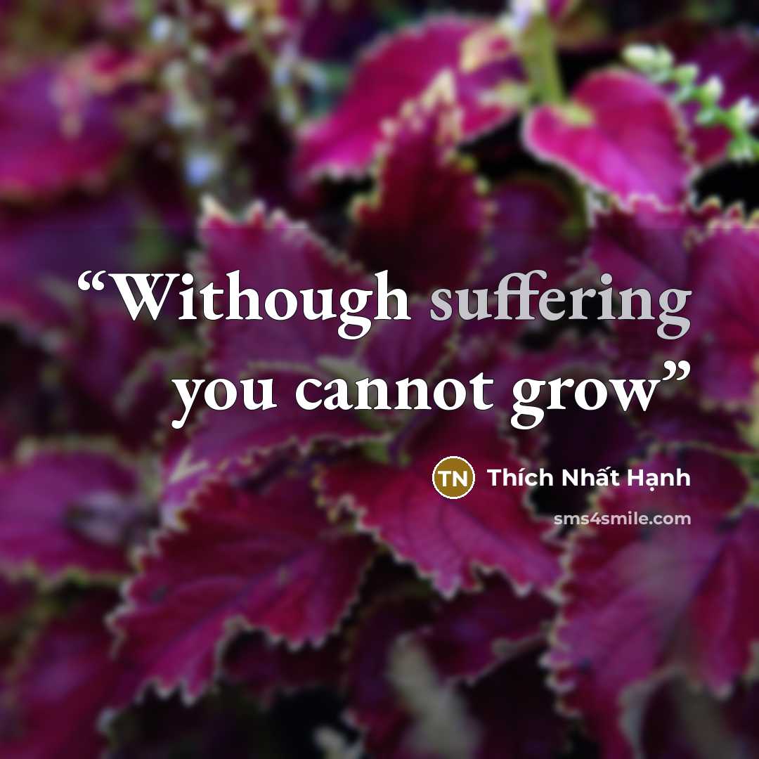 “Withough suffering you cannot grow” quote by Thich Nhat Hanh