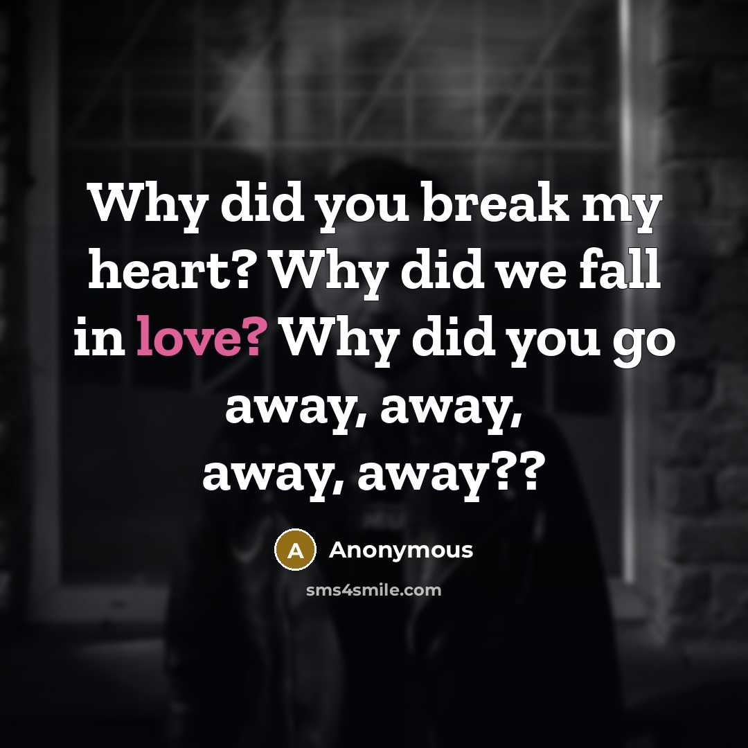 “Why did you break my heart? Why did we fall in love? Why did you go away, away, away, away??” quote by Anonymous