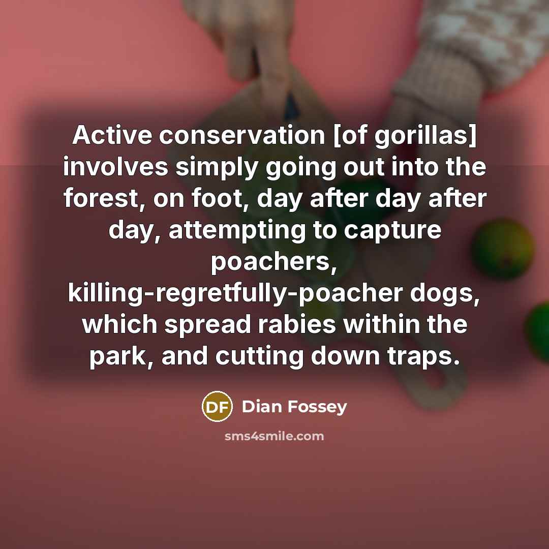 “Active conservation [of gorillas] involves simply going out into the forest, on foot, day after day after day, attempting to capture poachers, killing-regretfully-poacher dogs, which spread rabies within the park, and cutting down traps.” quote by Dian Fossey