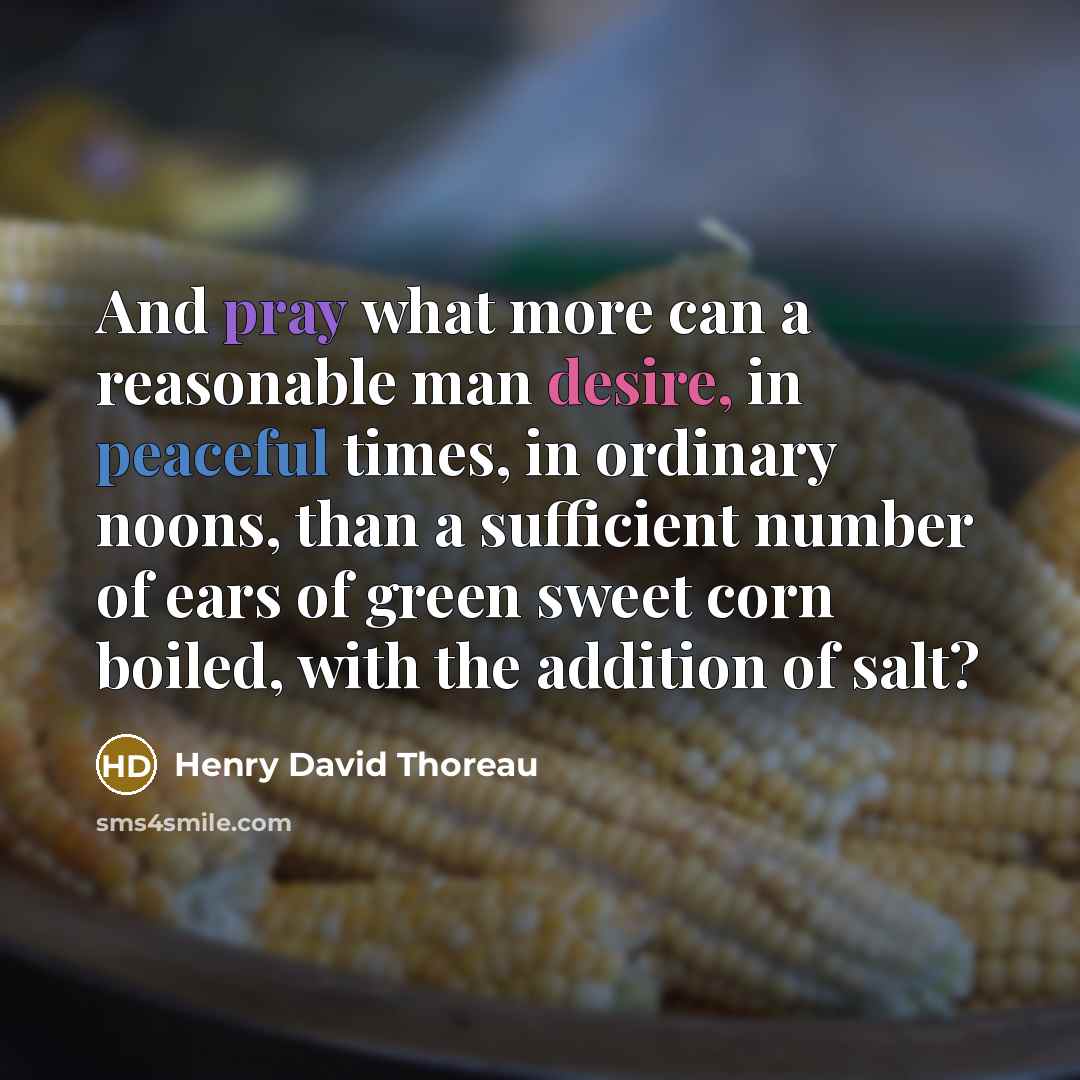 “And pray what more can a reasonable man desire, in peaceful times, in ordinary noons, than a sufficient number of ears of green sweet corn boiled, with the addition of salt?” quote by Henry David Thoreau