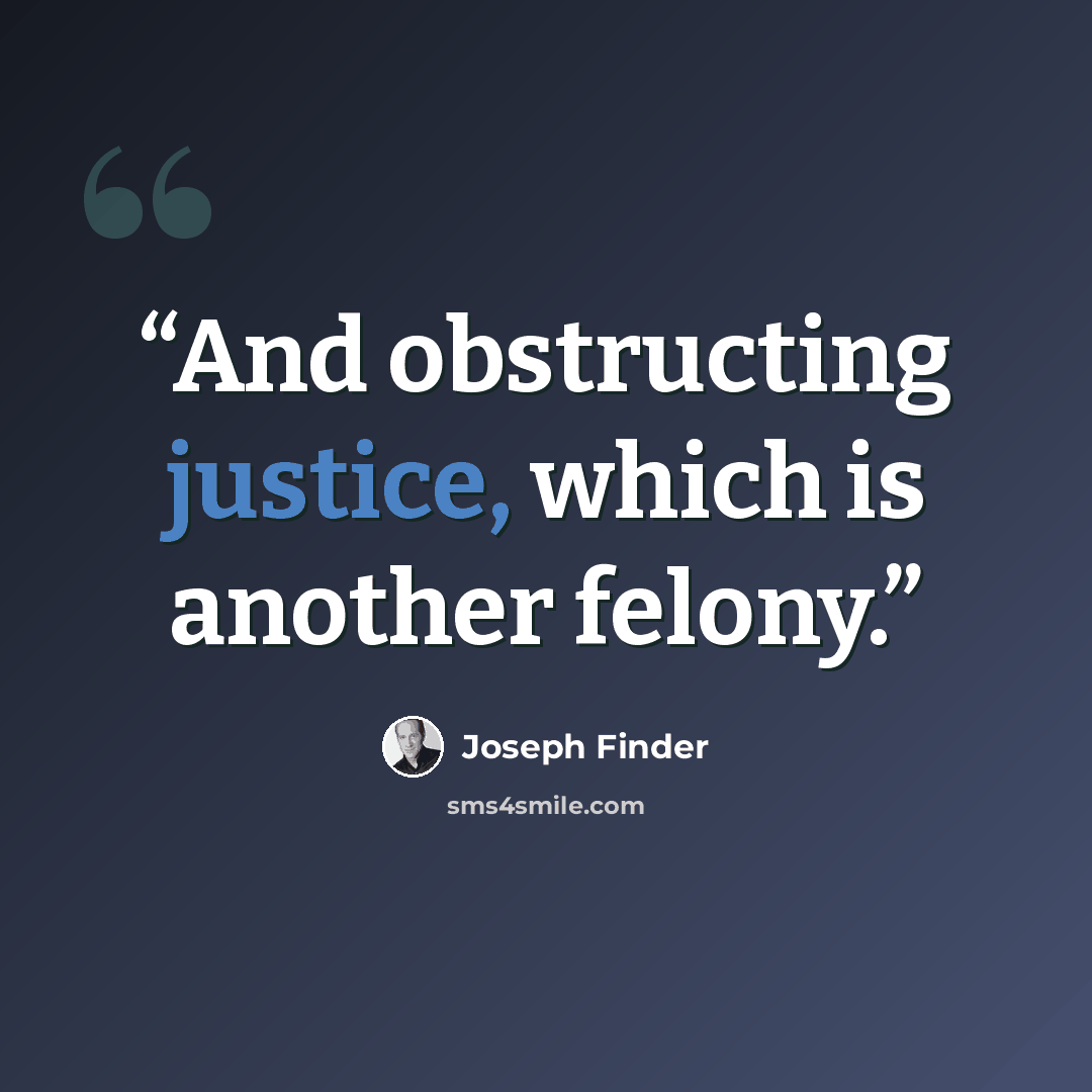 “And obstructing justice, which is another felony.” quote by Joseph Finder