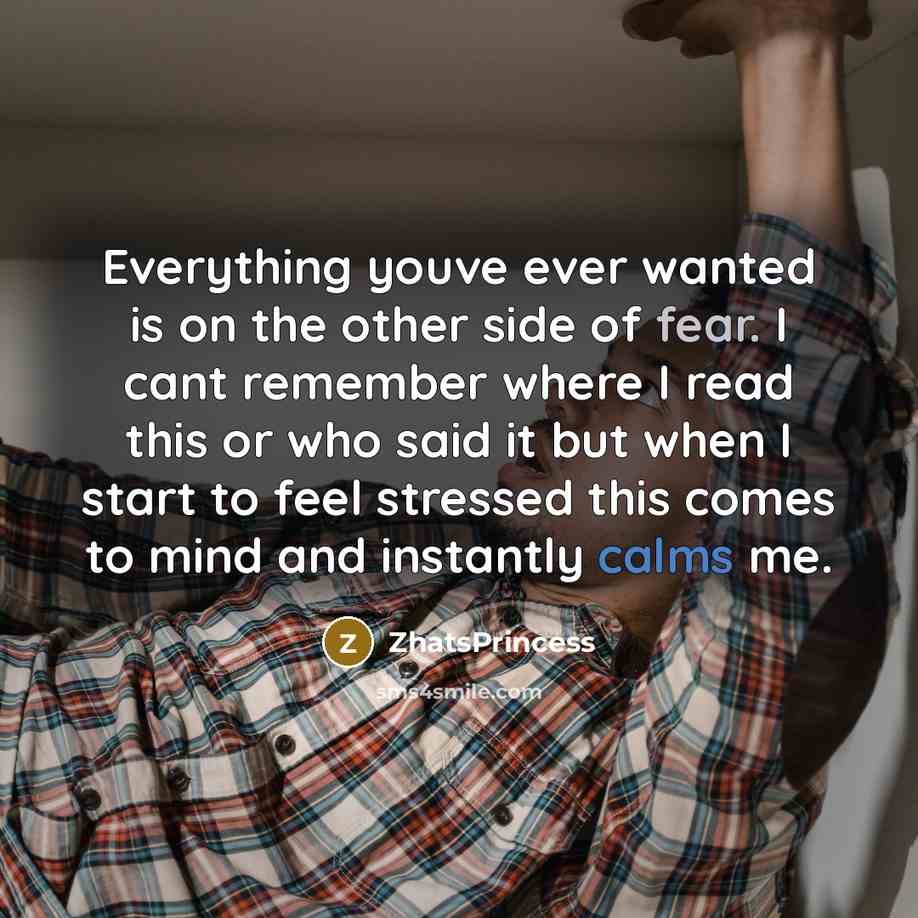“Everything youve ever wanted is on the other side of fear. I cant remember where I read this or who said it but when I start to feel stressed this comes to mind and instantly calms me.” quote by ZhatsPrincess