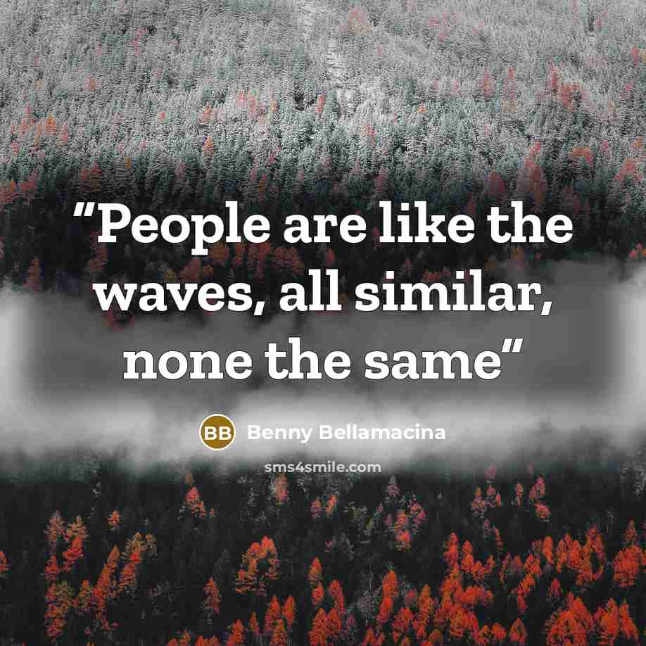 “People are like the waves, all similar, none the same” quote by Benny Bellamacina