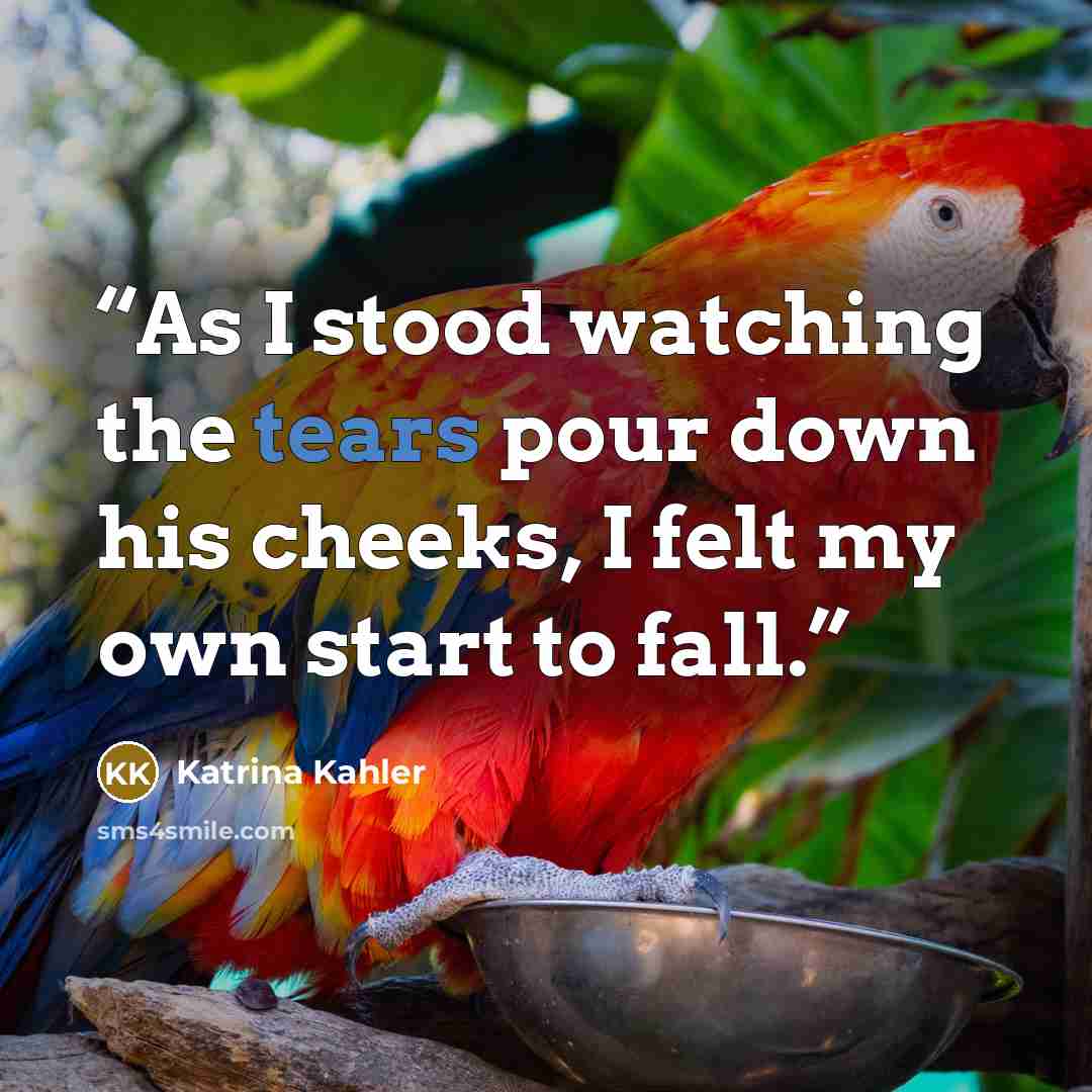 “As I stood watching the tears pour down his cheeks, I felt my own start to fall.” quote by Katrina Kahler