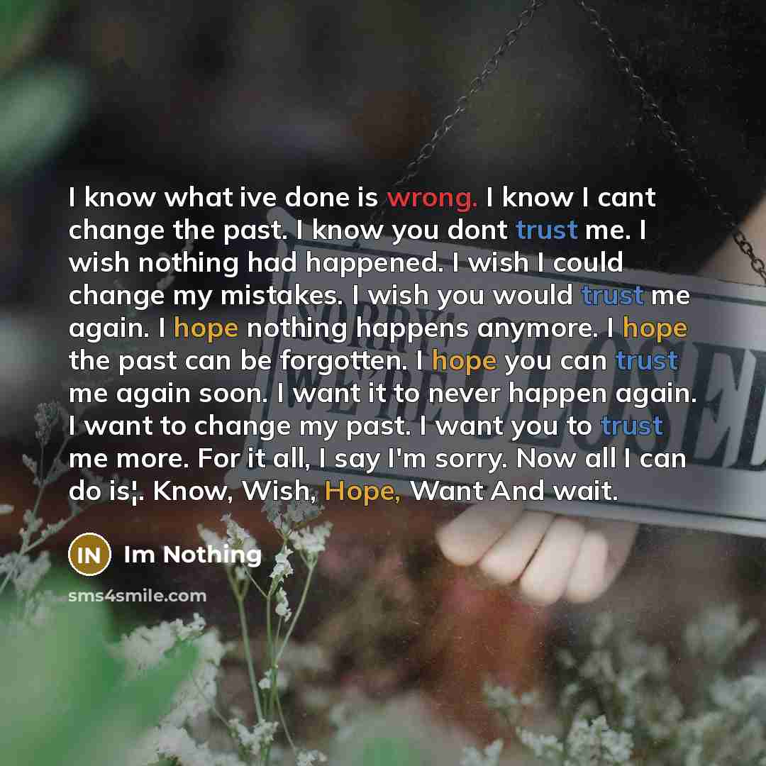 “I know what ive done is wrong. I know I cant change the past. I know you dont trust me. I wish nothing had happened. I wish I could change my mistakes. I wish you would trust me again. I hope nothing happens anymore. I hope the past can be forgotten. I hope you can trust me again soon. I want it…” quote by Im Nothing