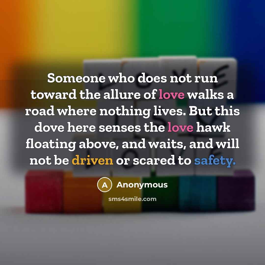 “Someone who does not run toward the allure of love walks a road where nothing lives. But this dove here senses the love hawk floating above, and waits, and will not be driven or scared to safety.” quote by Anonymous