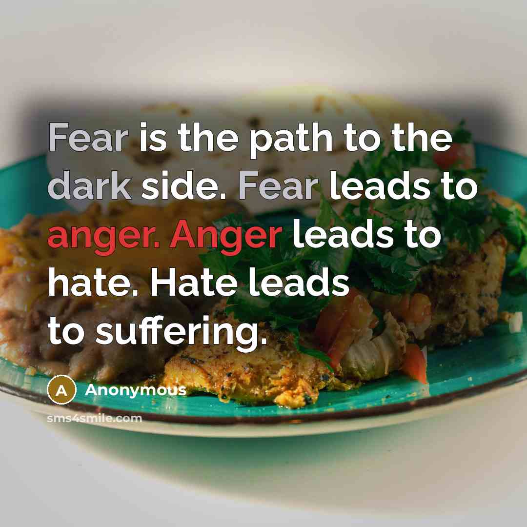“Fear is the path to the dark side. Fear leads to anger. Anger leads to hate. Hate leads to suffering.” quote by Anonymous
