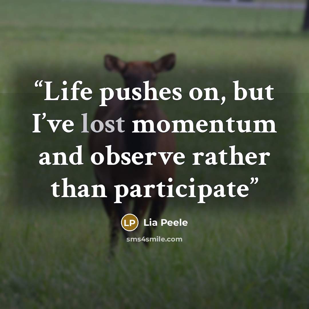“Life pushes on, but I’ve lost momentum and observe rather than participate” quote by Lia Peele