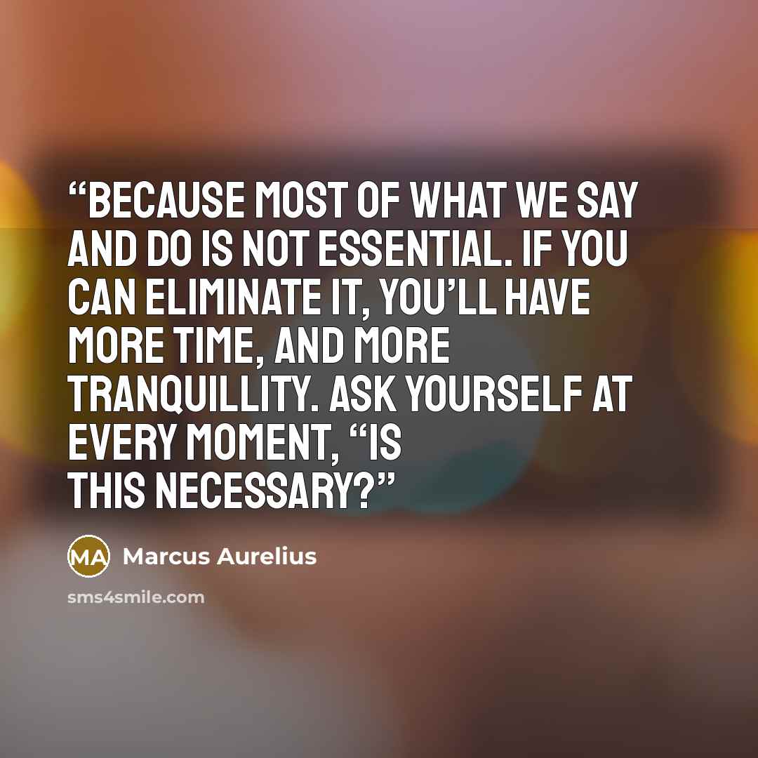 “Because most of what we say and do is not essential. If you can eliminate it, you’ll have more time, and more tranquillity. Ask yourself at every moment, “Is this necessary?” quote by Marcus Aurelius