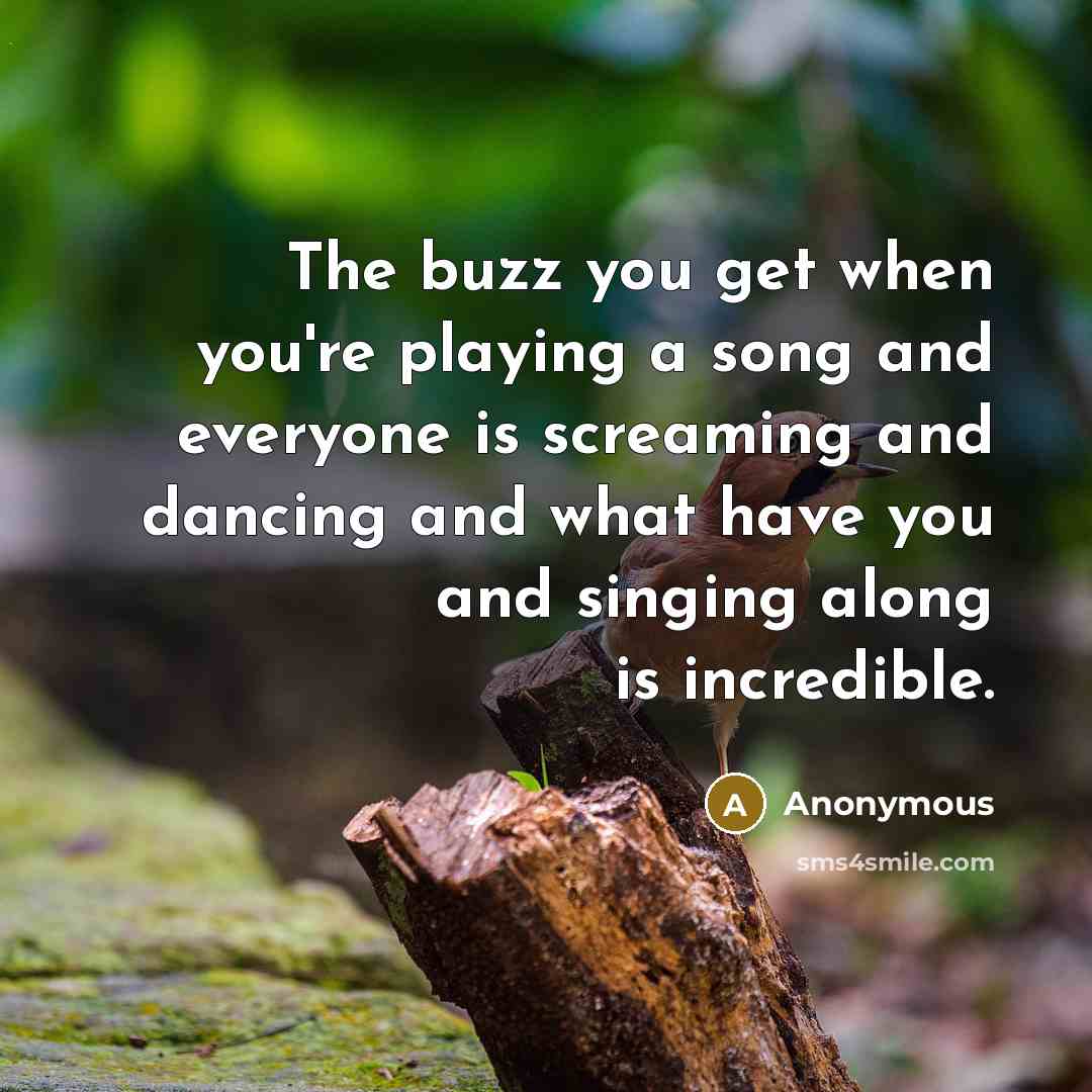 “The buzz you get when you're playing a song and everyone is screaming and dancing and what have you and singing along is incredible.” quote by Anonymous