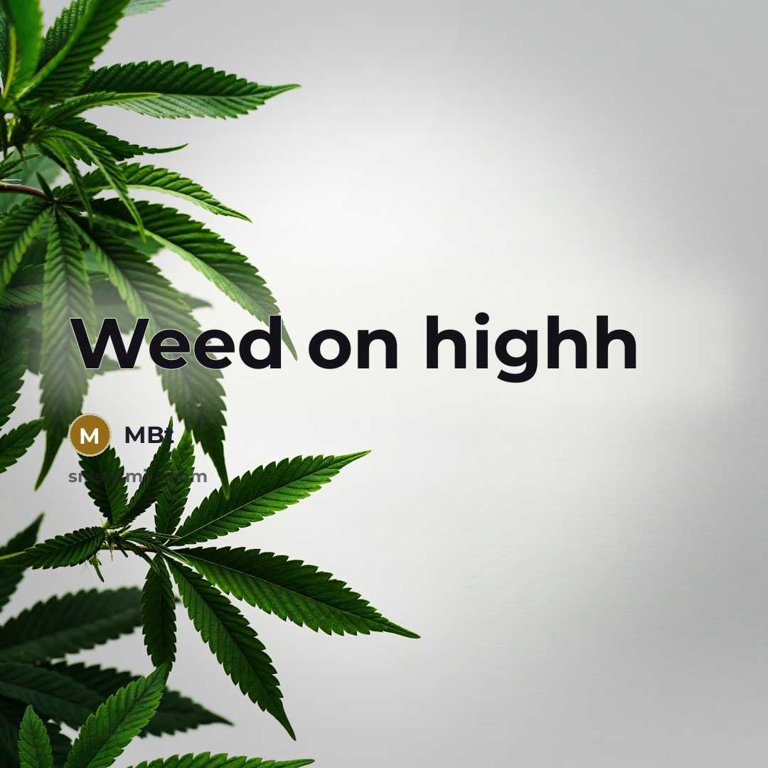 “Weed on highh” quote by Mbt