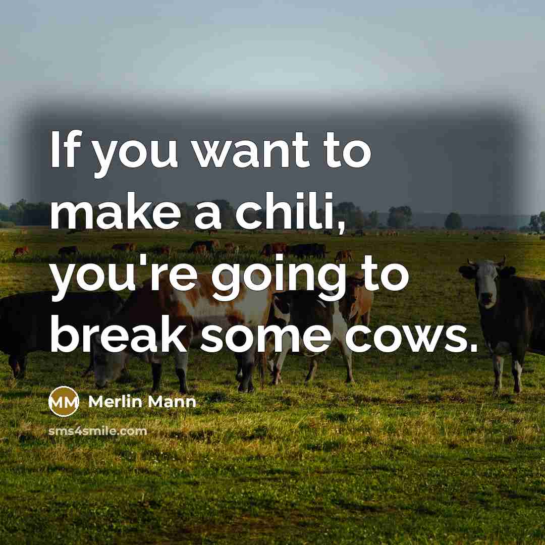 “If you want to make a chili, you're going to break some cows.” quote by Merlin Mann