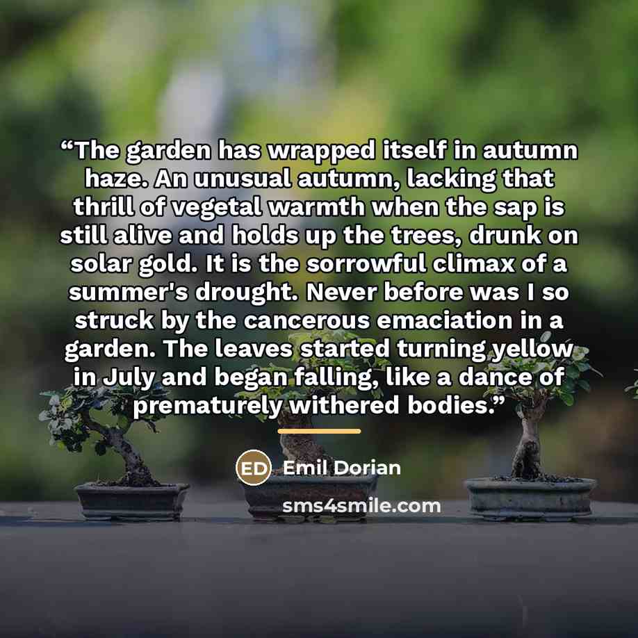 “The garden has wrapped itself in autumn haze. An unusual autumn, lacking that thrill of vegetal warmth when the sap is still alive and holds up the trees, drunk on solar gold. It is the sorrowful climax of a summer's drought. Never before was I so struck by the cancerous emaciation in a garden…” quote by Emil Dorian