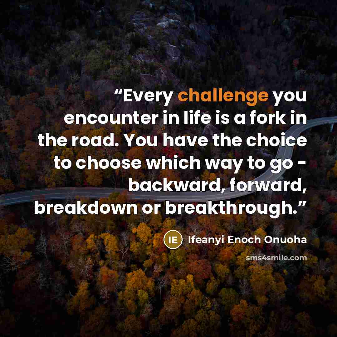 “Every challenge you encounter in life is a fork in the road. You have the choice to choose which way to go - backward, forward, breakdown or breakthrough.” quote by Ifeanyi Enoch Onuoha