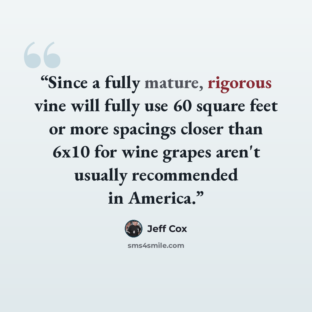 “Since a fully mature, rigorous vine will fully use 60 square feet or more spacings closer than 6x10 for wine grapes aren't usually recommended in America.” quote by Jeff Cox