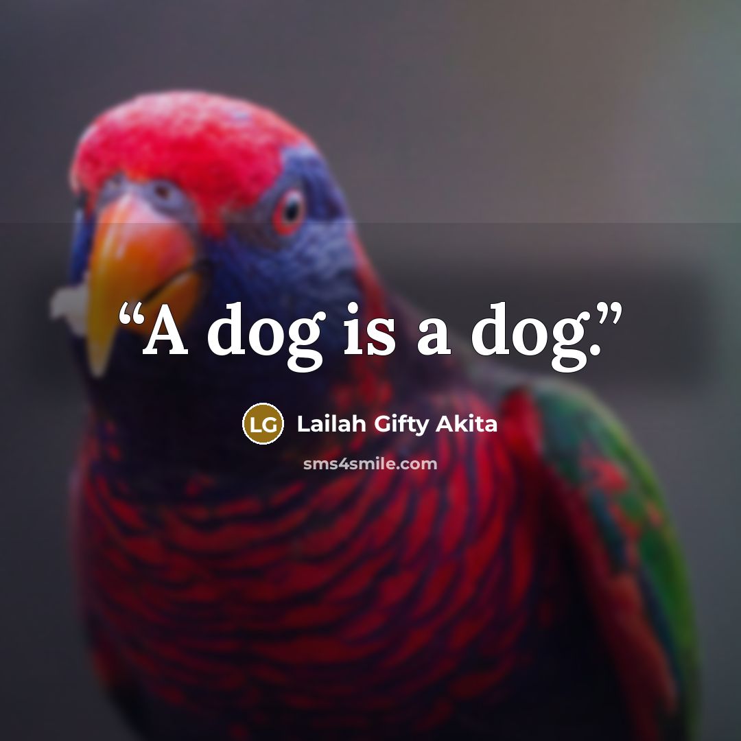 “A dog is a dog.” quote by Lailah Gifty Akita