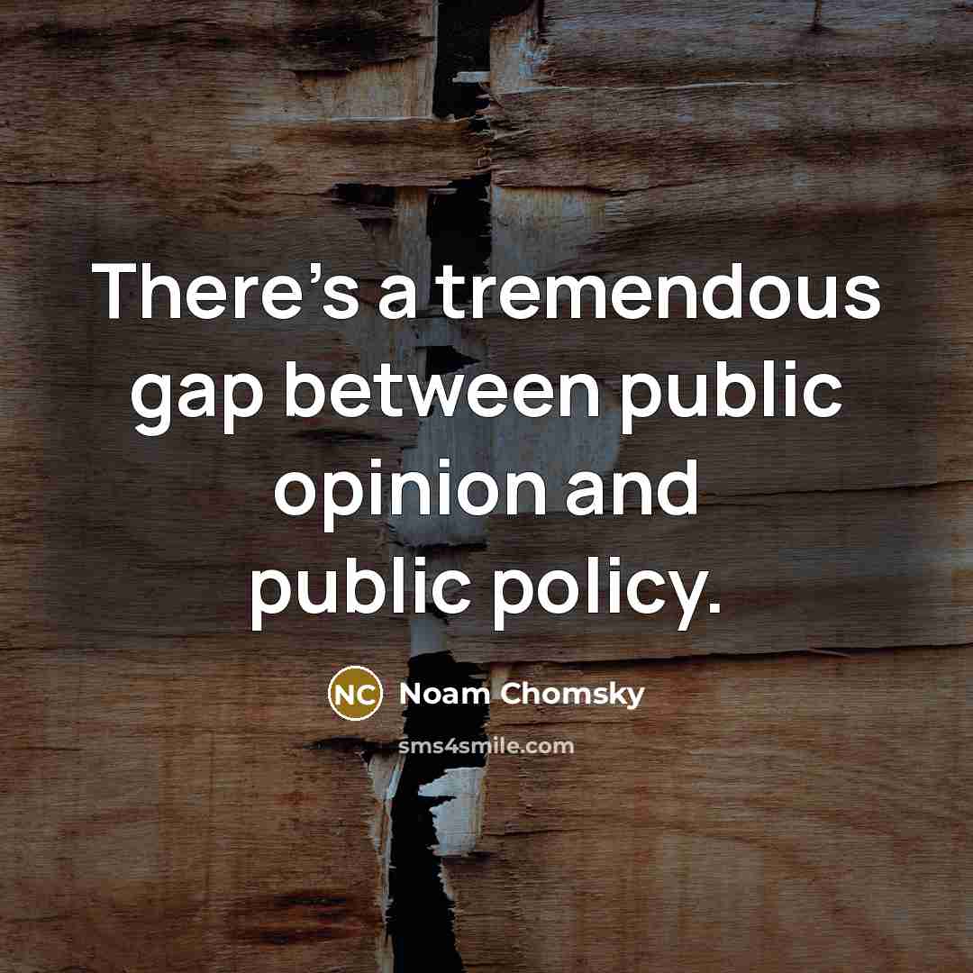 “There's a tremendous gap between public opinion and public policy.” quote by Noam Chomsky