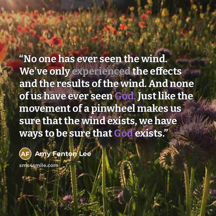 “No one has ever seen the wind. We've only experienced the effects and the results of the wind. And none of us have ever seen God. Just like the movement of a pinwheel makes us sure that the wind exists, we have ways to be sure that God exists.” quote by Amy Fenton Lee