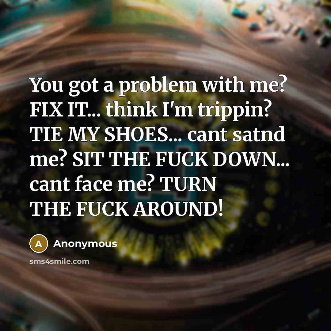 “You got a problem with me? FIX IT... think I'm trippin? TIE MY SHOES... cant satnd me? SIT THE FUCK DOWN... cant face me? TURN THE FUCK AROUND!” quote by Anonymous