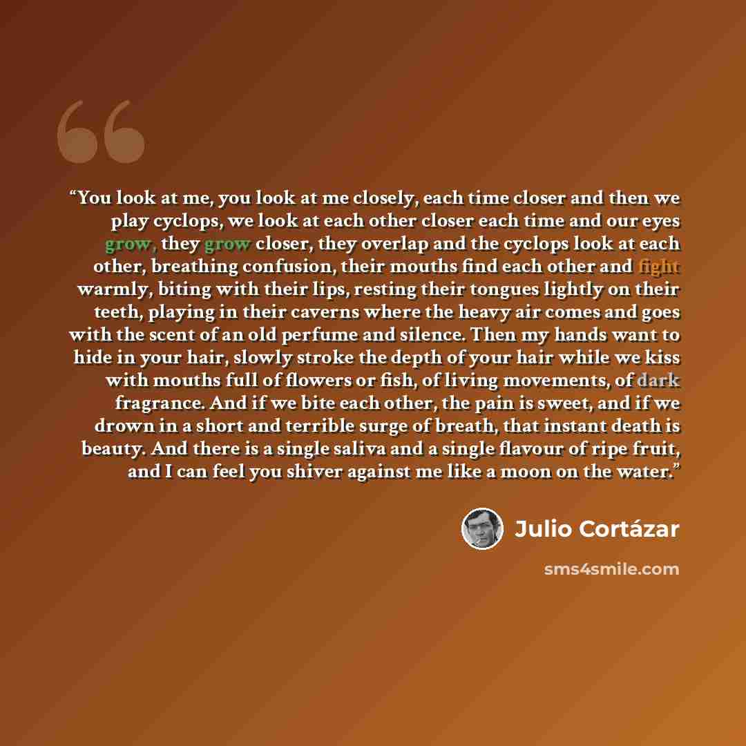 “You look at me, you look at me closely, each time closer and then we play cyclops, we look at each other closer each time and our eyes grow, they grow closer, they overlap and the cyclops look at each other, breathing confusion, their mouths find each other and fight warmly, biting with their…” quote by Julio Cortazar
