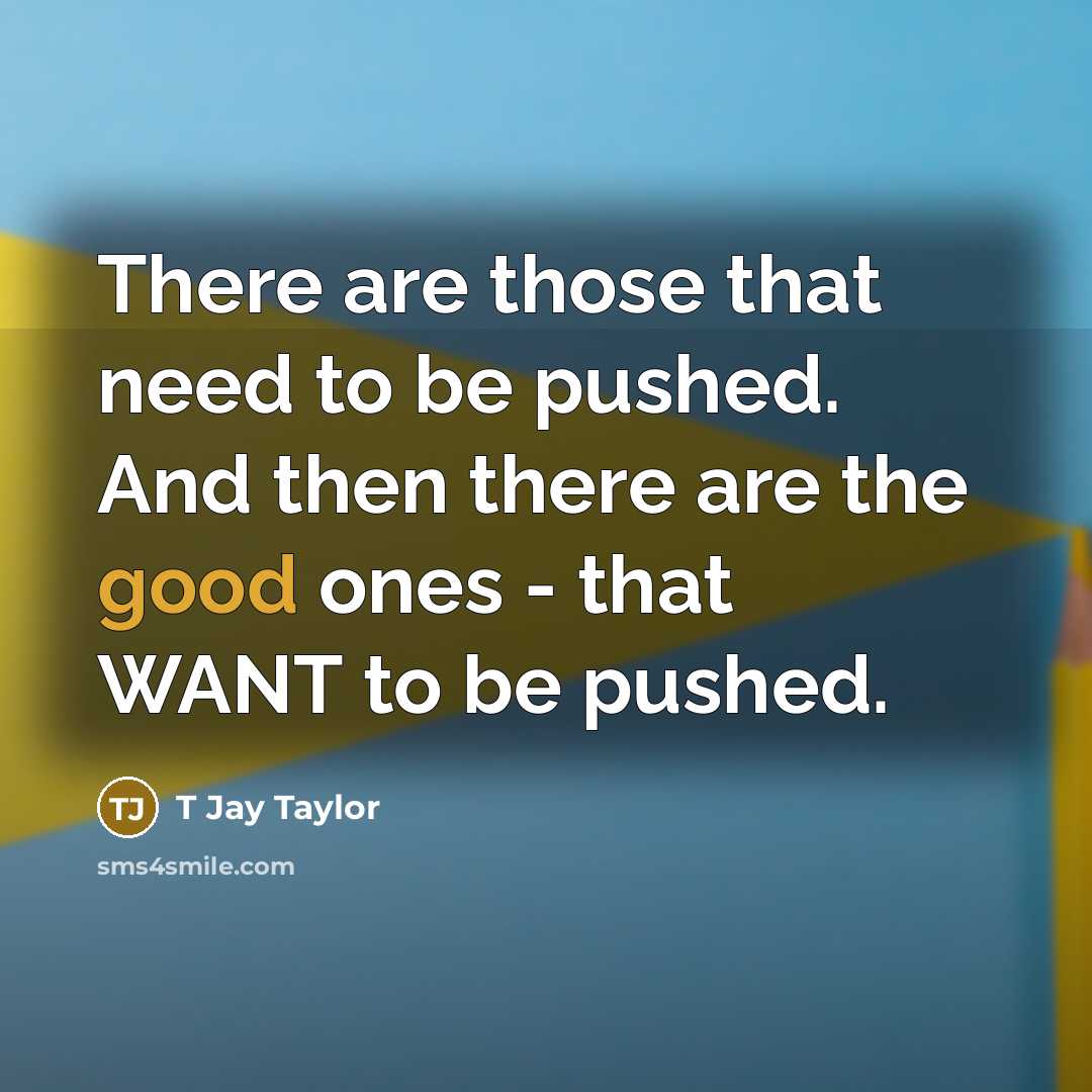 “There are those that need to be pushed. And then there are the good ones - that WANT to be pushed.” quote by T Jay Taylor