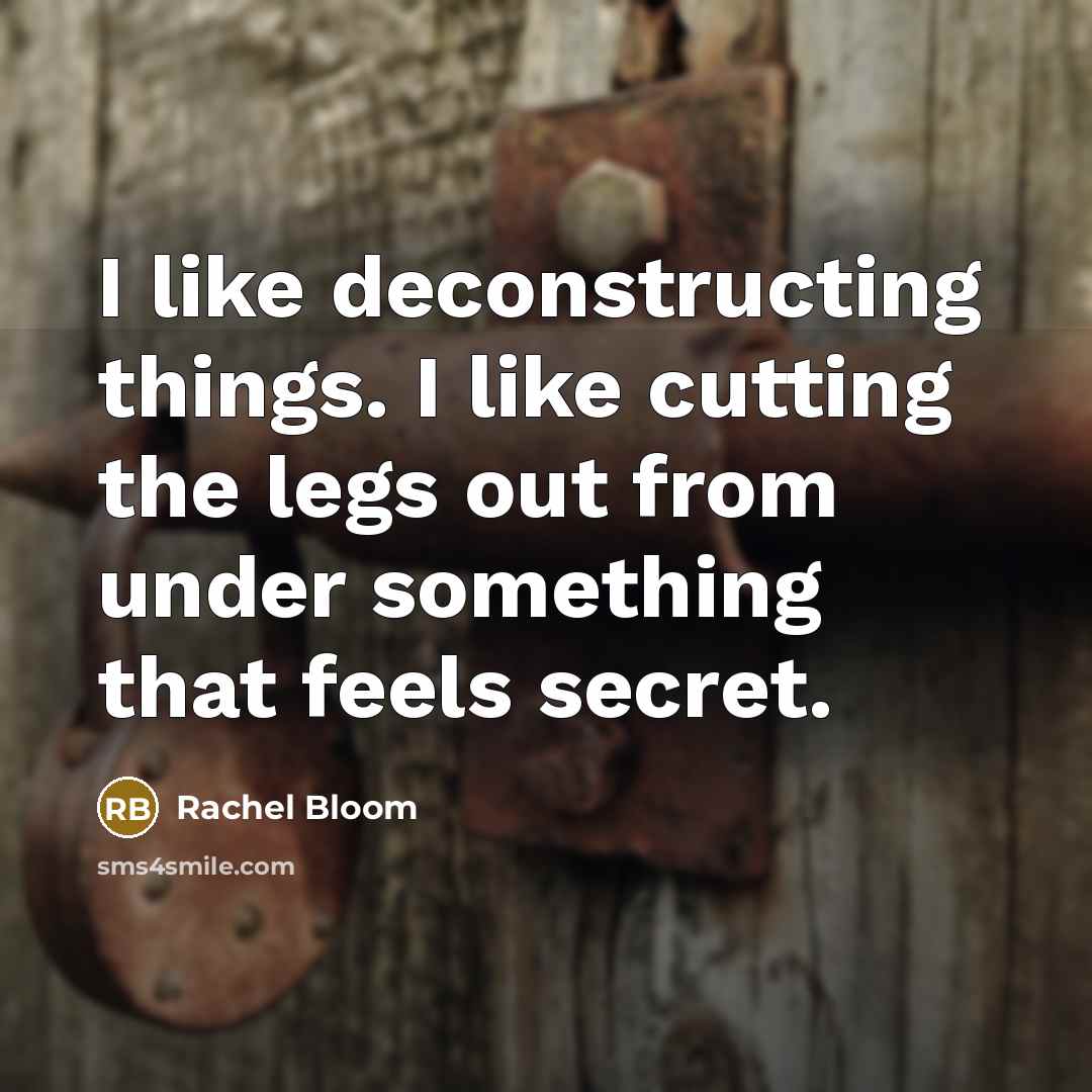 “I like deconstructing things. I like cutting the legs out from under something that feels secret.” quote by Rachel Bloom