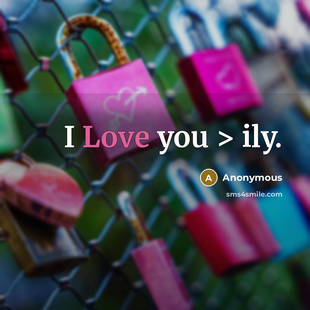 “I Love you > ily.” quote by Anonymous