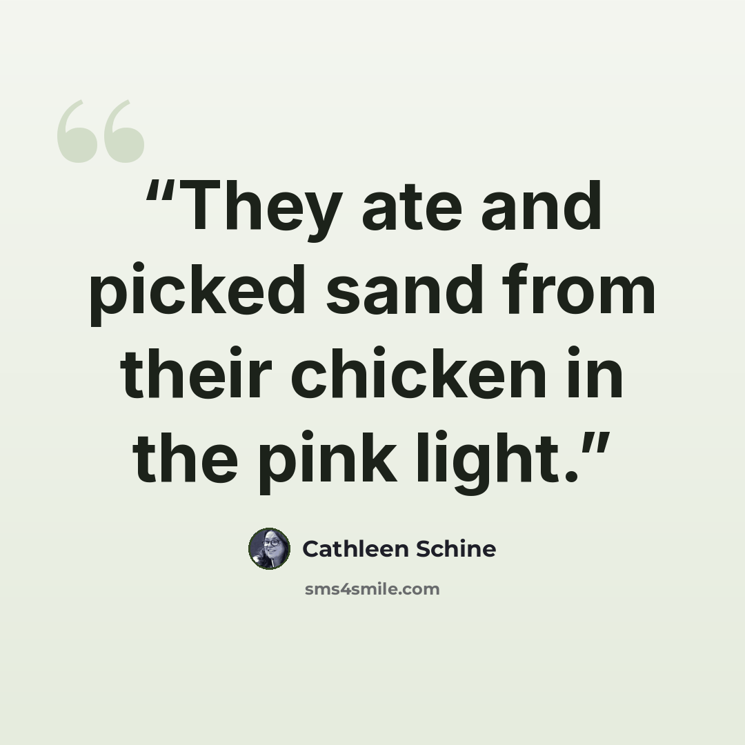 “They ate and picked sand from their chicken in the pink light.” quote by Cathleen Schine