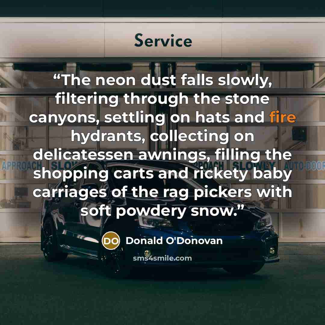 “The neon dust falls slowly, filtering through the stone canyons, settling on hats and fire hydrants, collecting on delicatessen awnings, filling the shopping carts and rickety baby carriages of the rag pickers with soft powdery snow.” quote by Donald O'Donovan