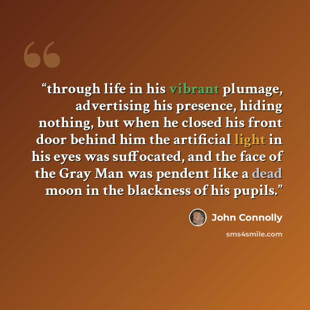 “through life in his vibrant plumage, advertising his presence, hiding nothing, but when he closed his front door behind him the artificial light in his eyes was suffocated, and the face of the Gray Man was pendent like a dead moon in the blackness of his pupils.” quote by John Connolly