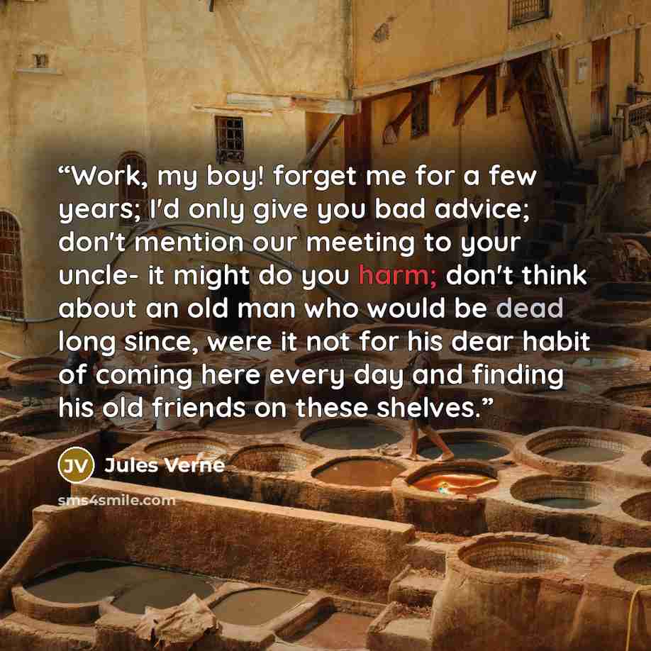 “Work, my boy! forget me for a few years; I'd only give you bad advice; don't mention our meeting to your uncle- it might do you harm; don't think about an old man who would be dead long since, were it not for his dear habit of coming here every day and finding his old friends on these shelves.” quote by Jules Verne