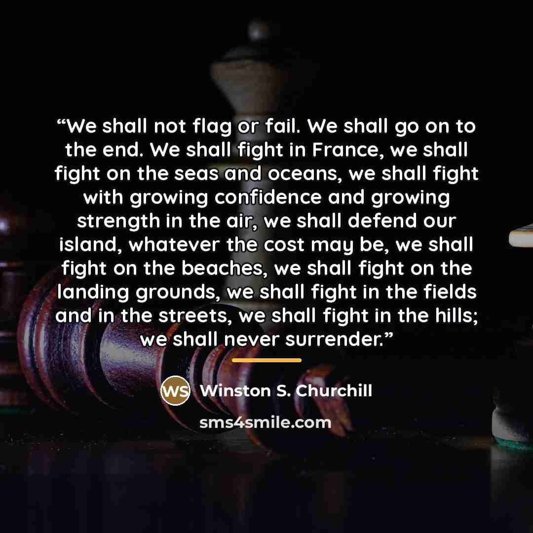 “We shall not flag or fail. We shall go on to the end. We shall fight in France, we shall fight on the seas and oceans, we shall fight with growing confidence and growing strength in the air, we shall defend our island, whatever the cost may be, we shall fight on the beaches, we shall fight on the…” quote by Winston S. Churchill